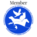 Badge (1)