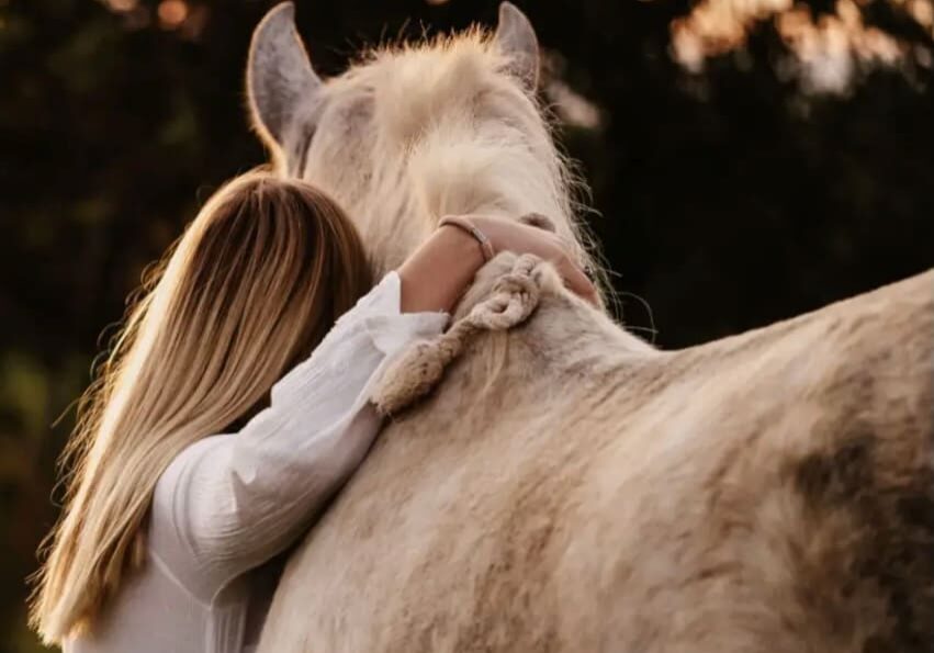Horse connection for equine sessions